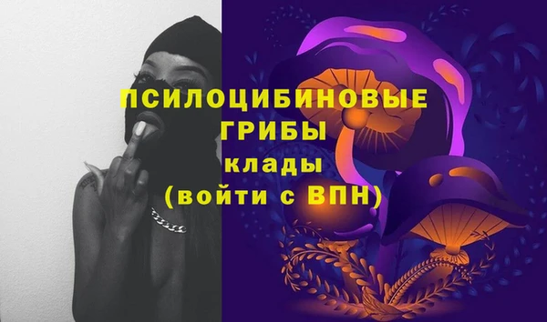 герыч Алапаевск