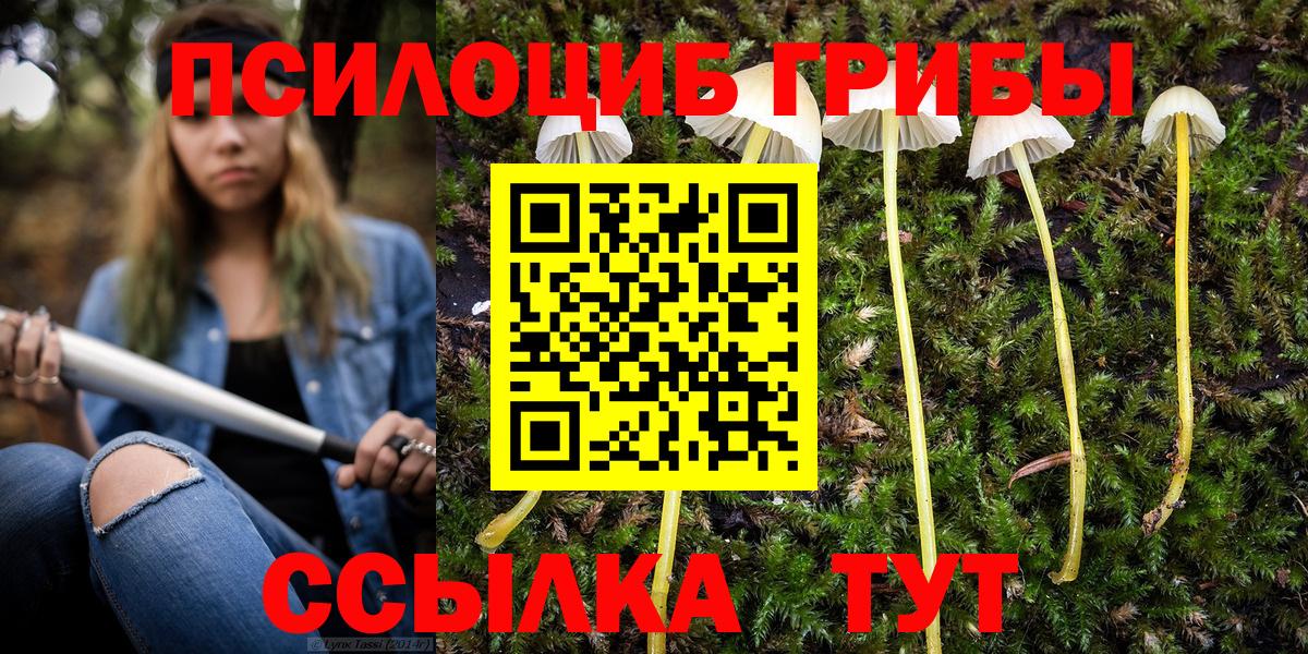 Псилоцибиновые грибы Magic Shrooms  Галлюциногенные грибы мицелий  Белая Калитва  Вход с VPN 
