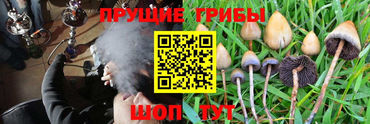 Псилоцибиновые грибы GOLDEN TEACHER Белая Калитва